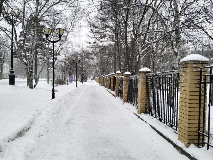 Штормовое, метель и ветер до 25 м/с: какая погода ждет сахалинцев 8 января 2026 года
