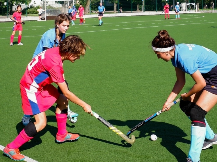 В Ленобласти будут возрождать русский хоккей