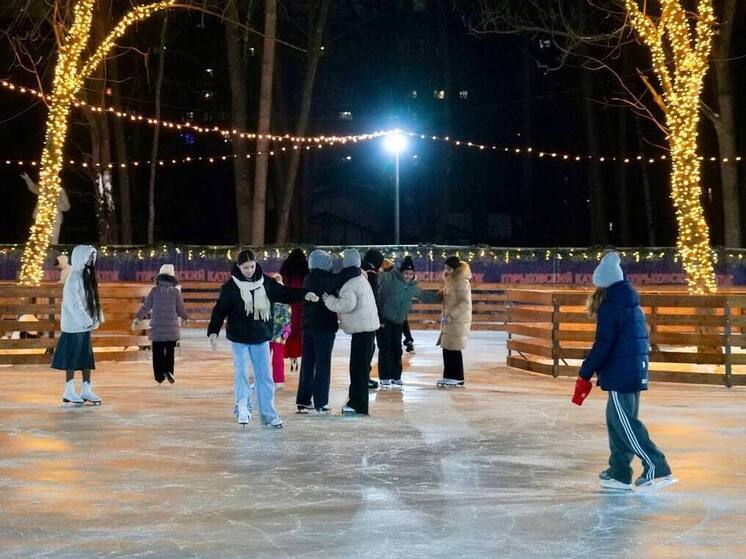 Нижегородцы пожаловались на очереди и плохое состояние катков