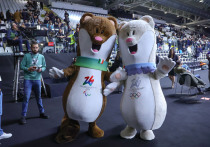 В феврале 2026 года главным спортивным событием станут Зимние Олимпийские игры в Италии, затем мы все будем следить за финалом чемпионата мира по футболу FIFA. Также нас ожидает множество других соревнований, которые заполнят 365 напряженных дней до 2027 года.