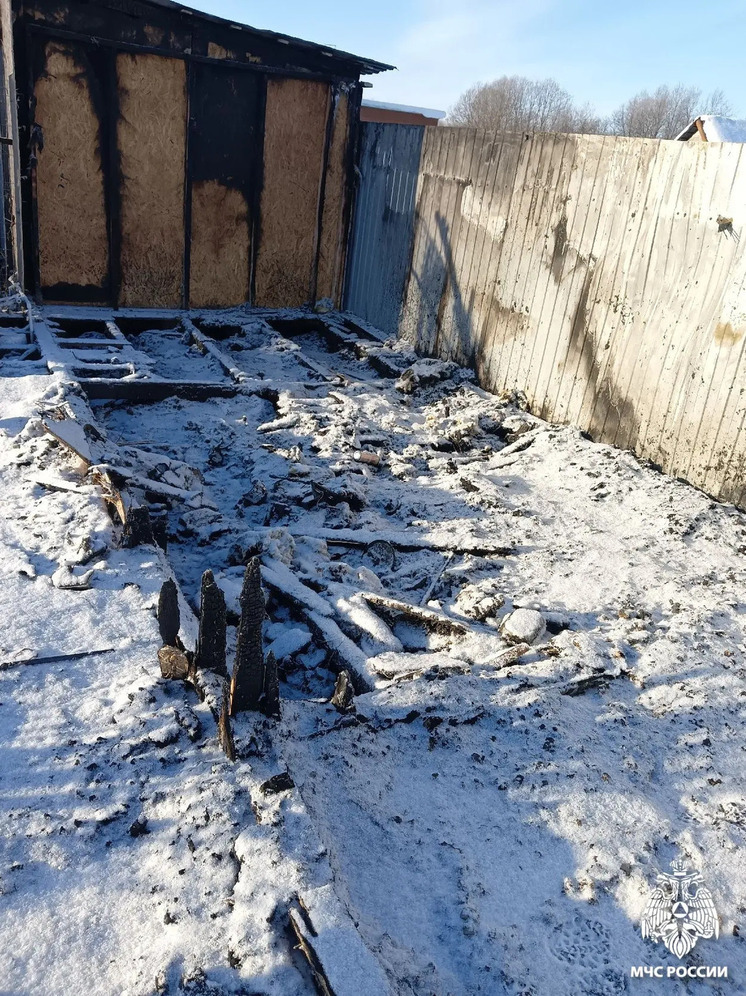 В Ярославской области в курятнике сгорели куры