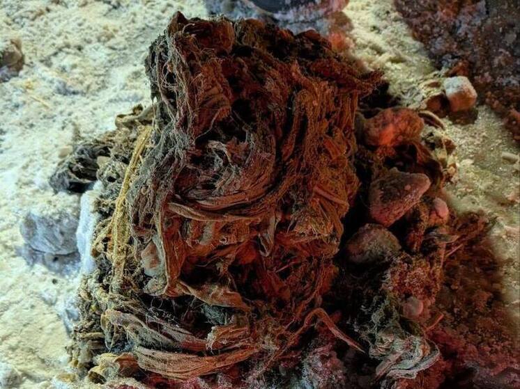 На Арцеуловской аллее в Петербурге завершили промывку канализации после засора