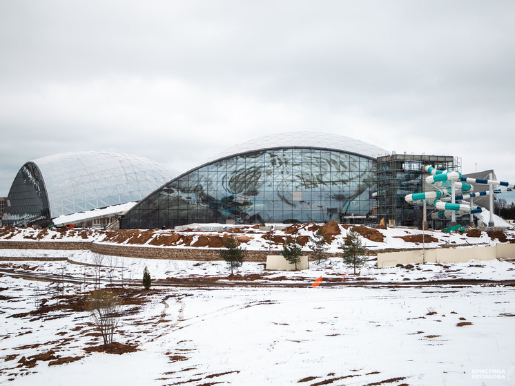 Сколько стоит отдых в аквапарке Завидово под Тверью
