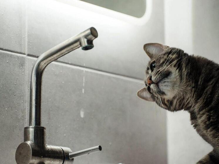 Жители сразу двух домов столкнулись в праздники с коммунальными проблемами