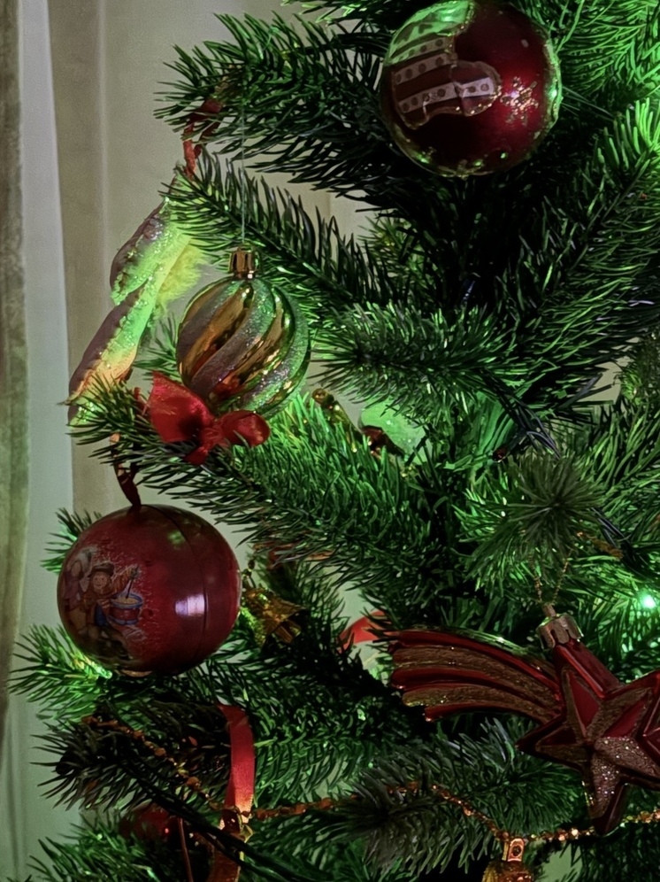 «Ёлка желаний» осуществила мечты запорожских детей из Мелитополя