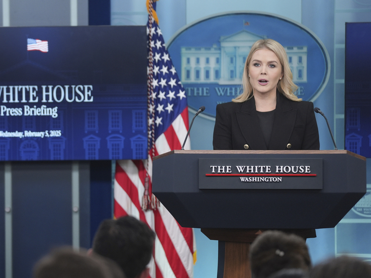 Ливитт: присоединение Гренландии сдержит Россию и Китай в Арктике