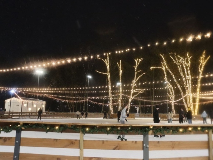 Три нижегородских катка закрыли из-за аномального снегопада