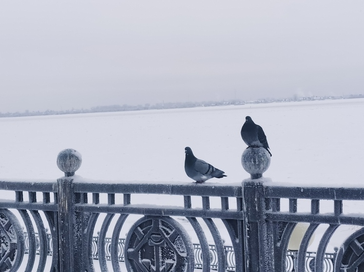 Морозы, ветер, гололёд: погода в Архангельской области на 8 января