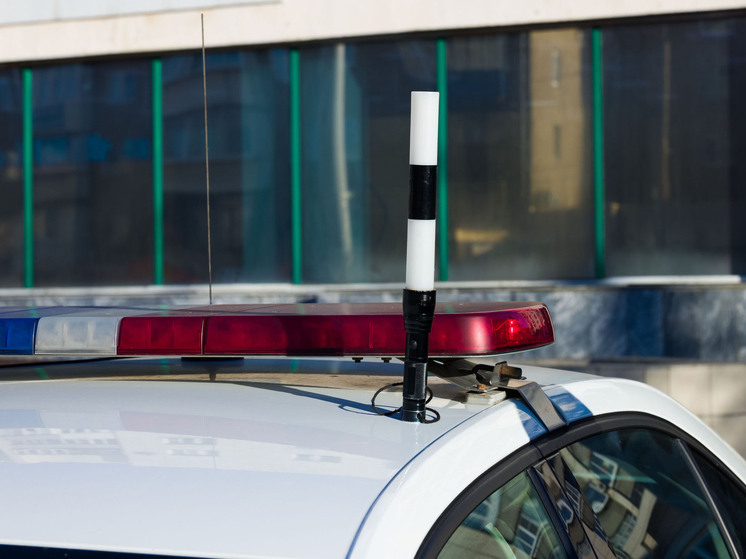 В Челябинске на пешеходном переходе автомобиль сбил двух людей