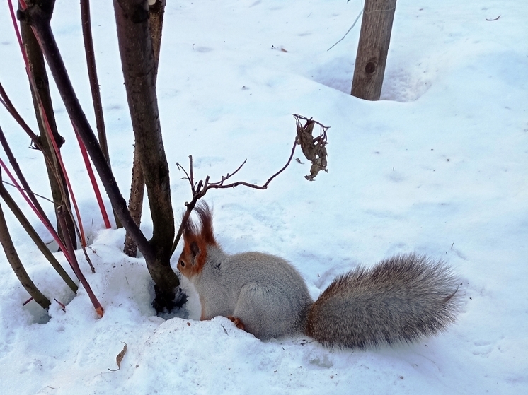 Сила магнитной бури 8 января составит 5 баллов: благоприятная пора для активной деятельности