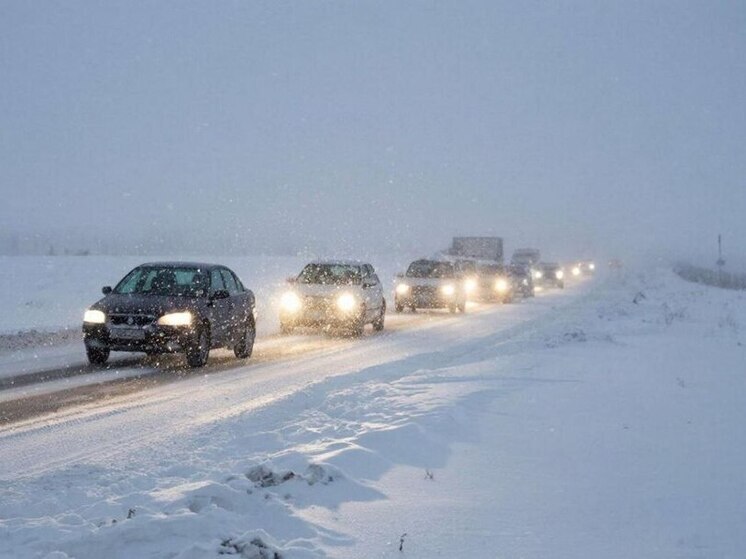 8 января Подмосковье накроет снегопад и метель: экстренное предупреждение от МЧС