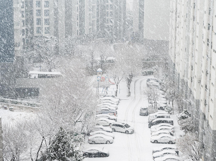Германия — Опасная смесь: лед и шторм парализуют транспорт
