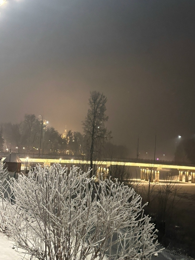 Следственный Комитет проведет проверку по жалобам жителей Рыбинска о паленом курином мясе.