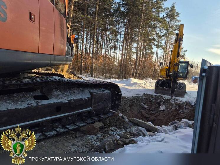 В разгар зимних праздников жители приамурского села остались без холодной воды