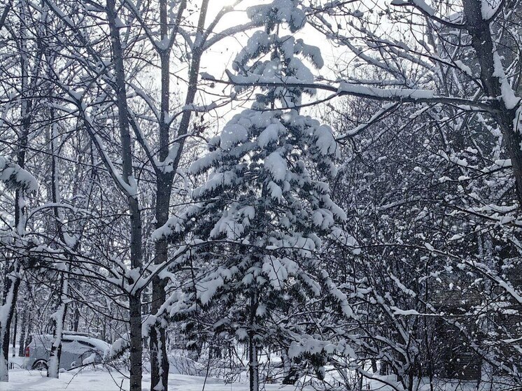 В Приморье объявили штормовое предупреждение