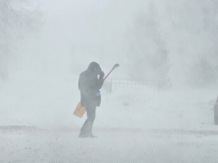 Новосибирцам напомнили, как не допустить обморожения