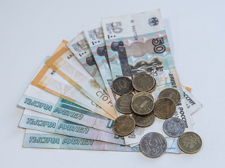 Новосибирским многодетным семьям начали возвращать часть НДФЛ