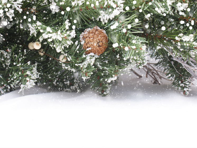 Снежные осадки и до -27°С при прояснениях: погода в Томской области 8 января