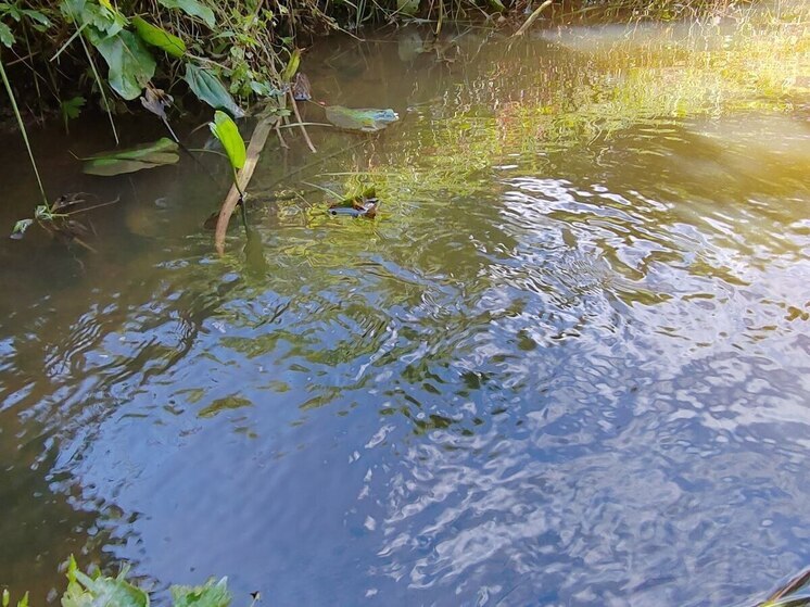 В Хабаровском крае гидротехническое сооружение эксплуатировали с недооформленными документами
