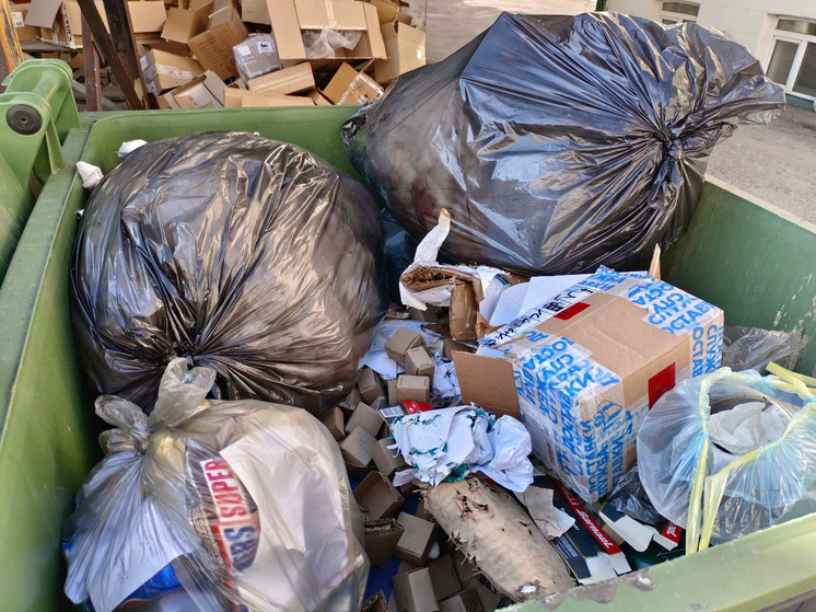 В социальных сетях распространяется сообщение, что в селе Усть-Калманка Алтайского края девушка-подросток родила ребенка, после чего выбросила его в мусорный контейнер на улице. Ситуация же выяснилась, когда она попала в больницу из-за кровопотери. В правоохранительных органах сообщили, что в селе действительно нашли тело младенца.