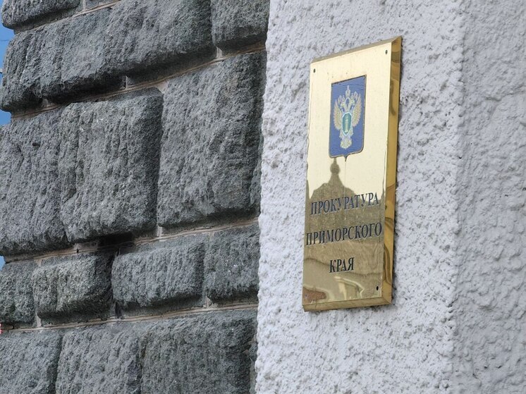 В групповых избиениях и травле подозревают подростков школы Лучегорска