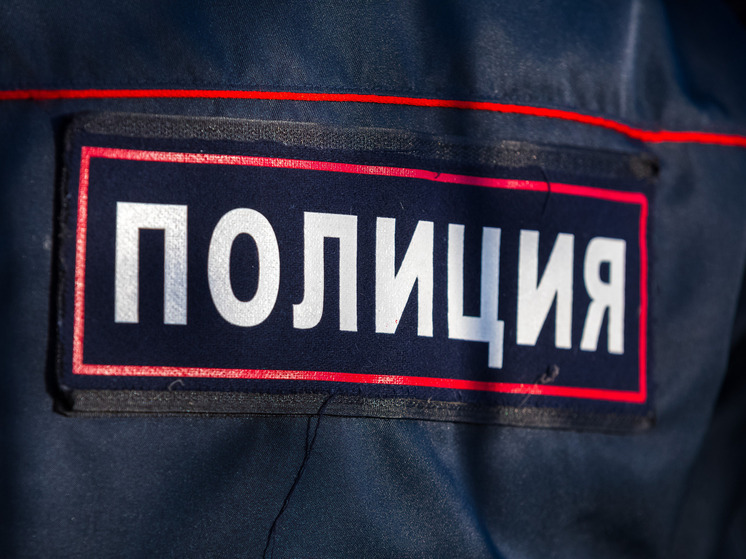 Пожилой троичанин потерял деньги, пытаясь купить металлоискатель