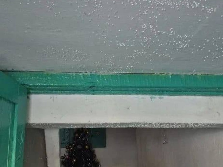 «Ничего страшного»: многоквартирный дом Находки заливает кипятком из подвала