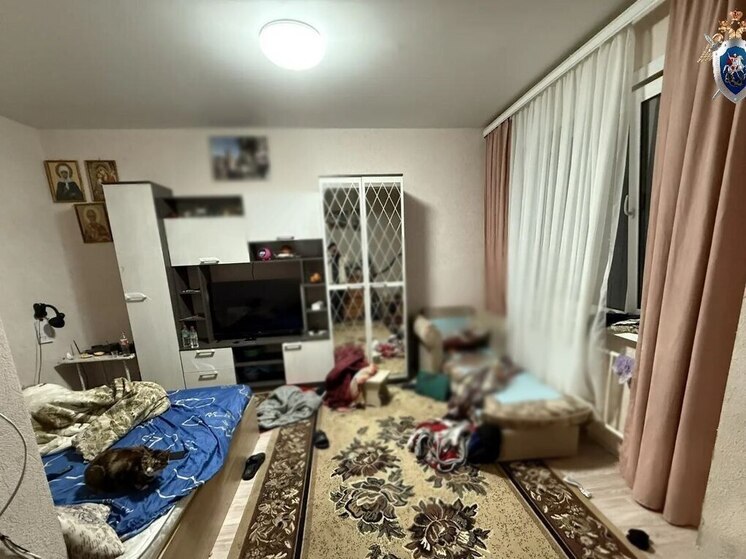 Житель Анивы пытался зарезать спящего собутыльника