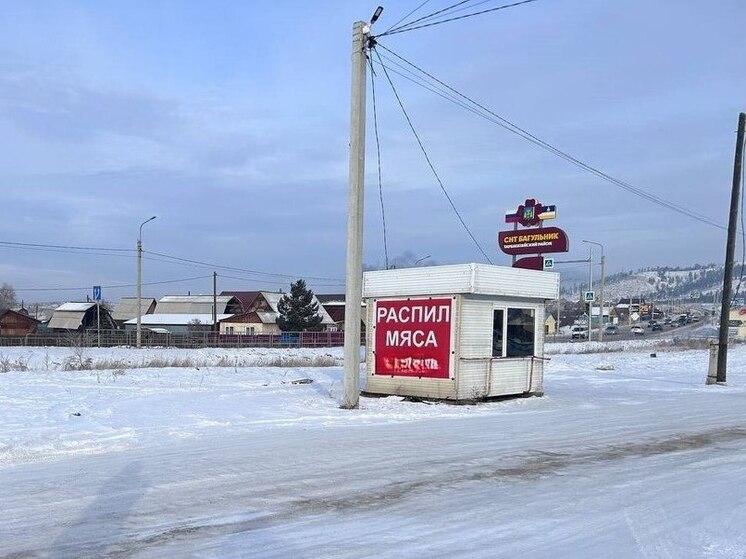 В Бурятии стая бездомных собак напала на женщину