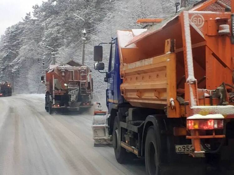 Непрерывные работы по очистке дорог и тротуаров от снега проходят в Пскове