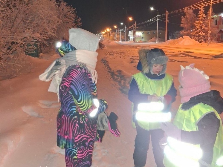 Ребятишки в НАО призвали северян светить в ночи «на отлично»