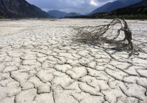 По прогнозам британского Метеобюро, 2026 год станет четвертым годом подряд, когда глобальная температура устойчиво превысит критическую отметку в 1,4 градуса по Цельсию выше доиндустриального уровня