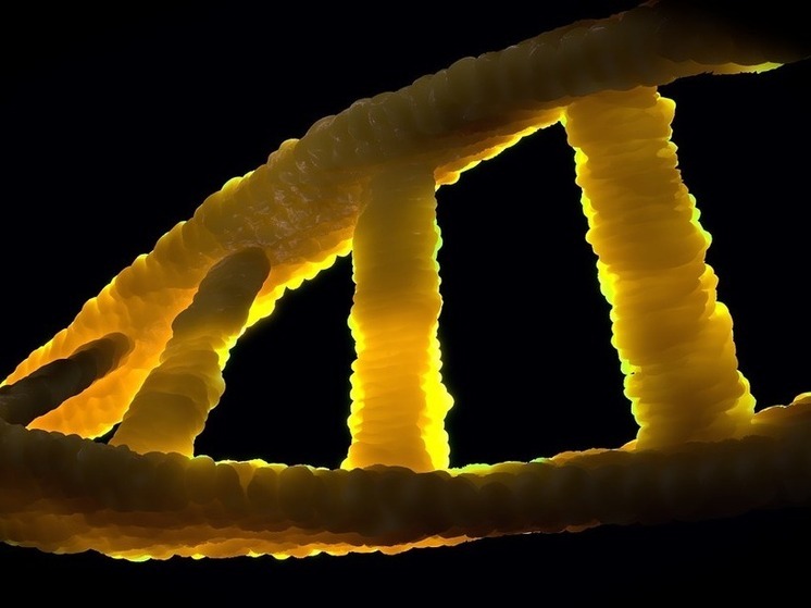 Ученые нашли ДНК на рисунке, возможно, принадлежащем Леонардо да Винчи