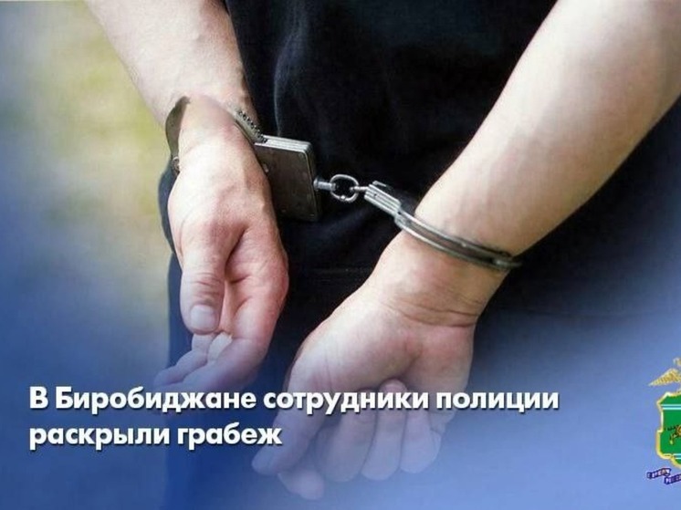 Биробиджанца, замешанного в ограблении и драке, задержали правоохранители
