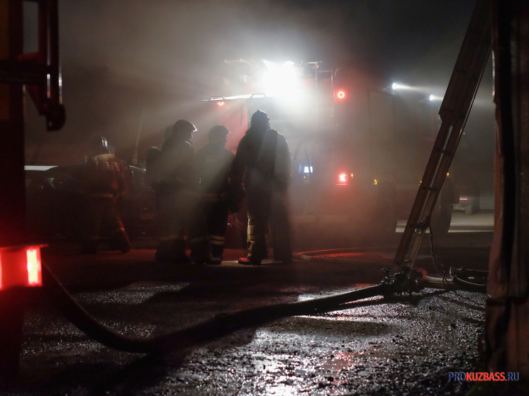 В Кемерове едва не сгорели 17 собак