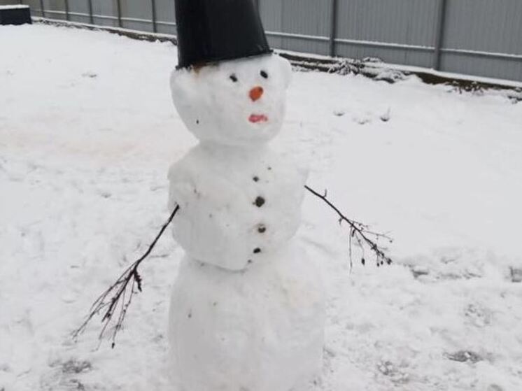 В Выборге пройдет конкурс красоты среди снеговиков