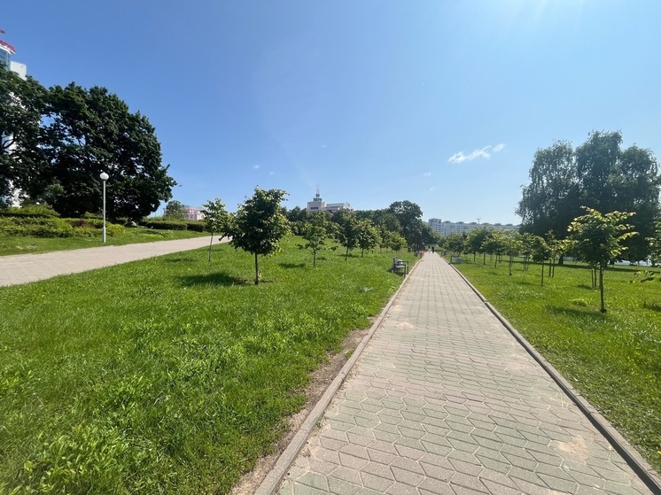 В ДНР в Володарском МО за год благоустроят три парка