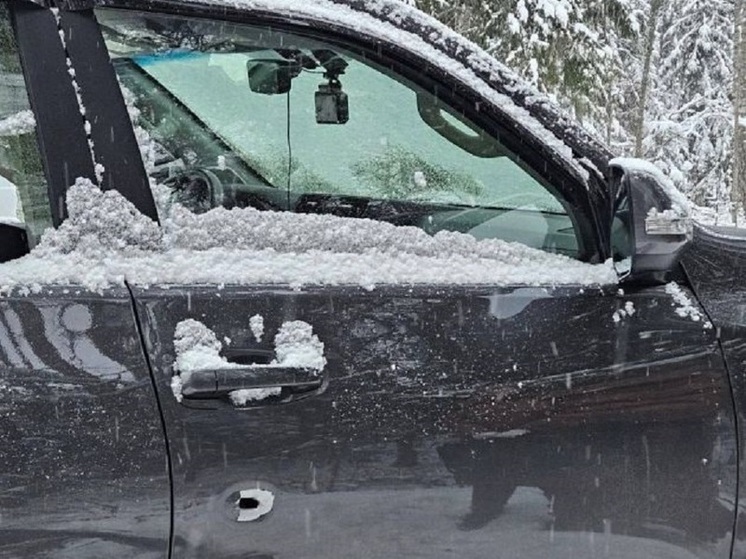 Стала известна личность мужчины, застреленного молодым охотником в Ленобласти