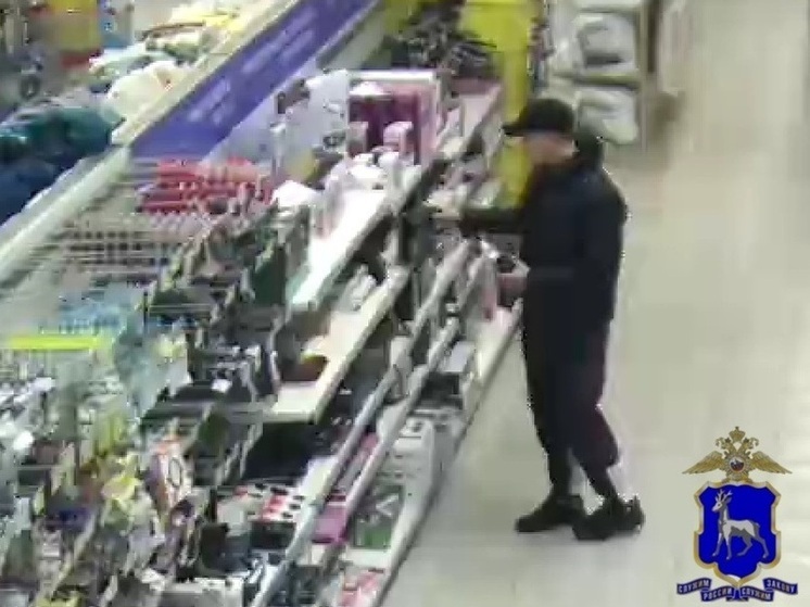 В Самаре мужчина пытался украсть электротовары на сумму более 10 тысяч рублей