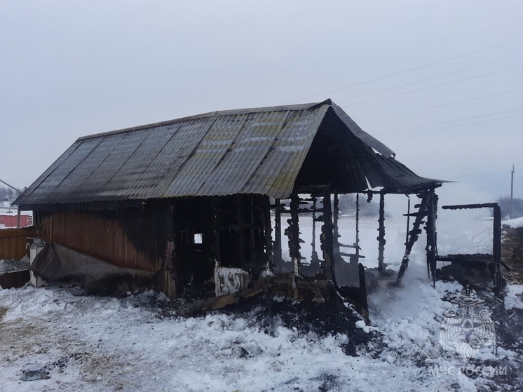 На экоферме под Котельничем огонь унёс жизни десятков животных