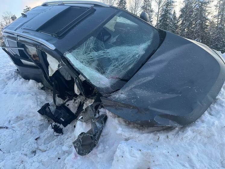 Омичка погибла в ДТП на трассе Тюмень–Ханты-Мансийск