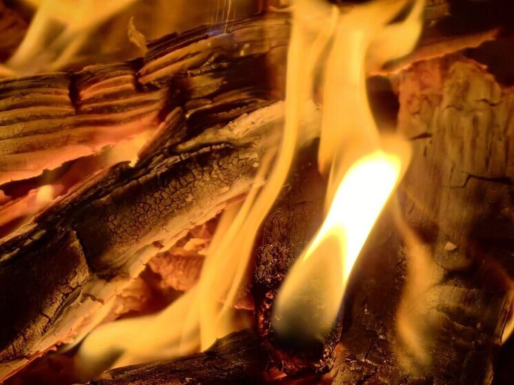 В Калининградской области за сутки произошло восемь пожаров