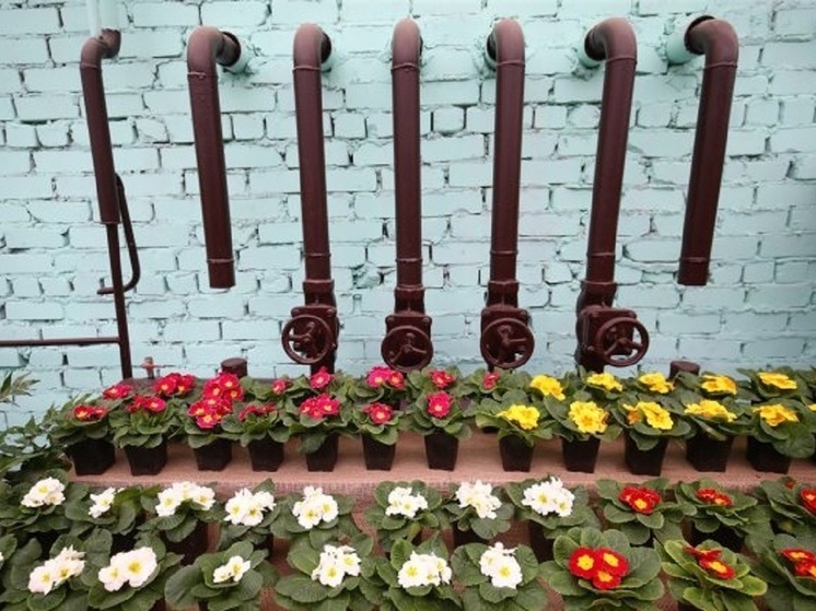 В Волгоградской области ботанический сад в 2025 году посетили 43 тысячи человек