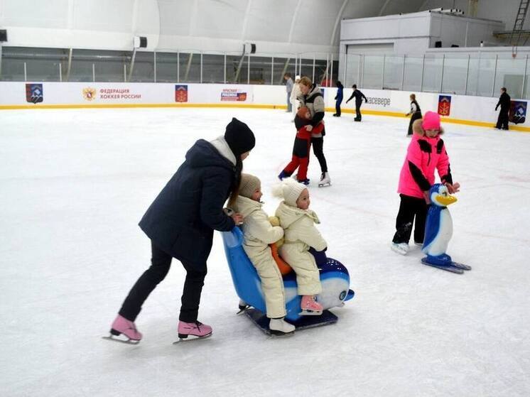 На ледовом корте «Метеор» в Заполярном пройдут массовые катания 10 и 11 января