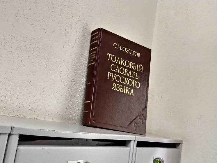 Билингвизм поможет развить мышление у детей северян