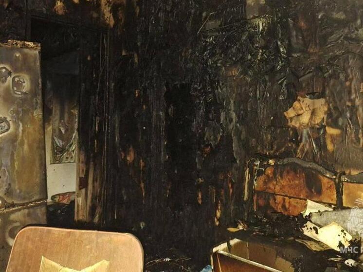 В Ардатове при пожаре в жилом доме погибла пенсионерка