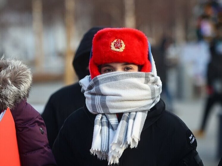 По прогнозам синоптиков, начиная с 8-9 января жителей Московской области ждут аномально низкие температуры