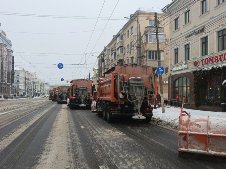 В Туле на расчистку снега вышло более 200 машин