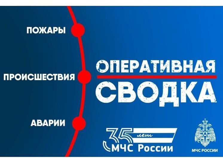 В Смоленской области за дежурные сутки произошло четыре пожара