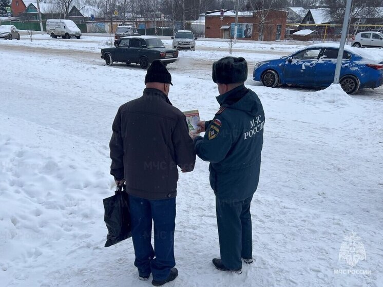 МЧС призывает туляков не перегружать сети и проверять печи